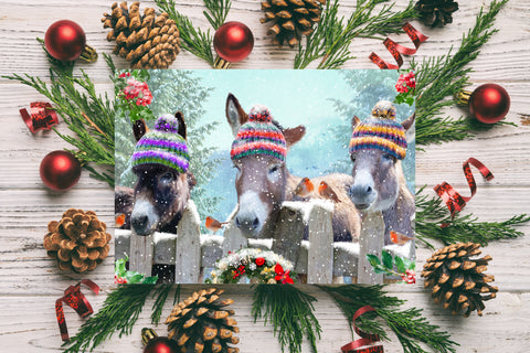 Woolly Hat - Donkey Christmas Cards